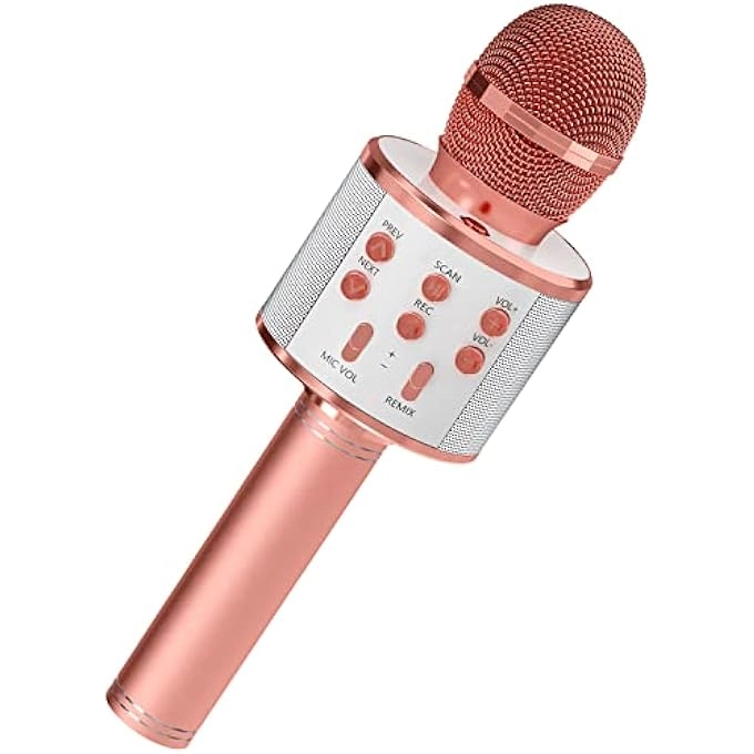 WIRELESS BLUETOOTH MICROPHONE