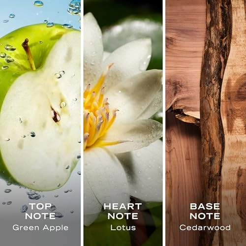 Midnight Voyage Eau de Toilette - 50ml + 15ml