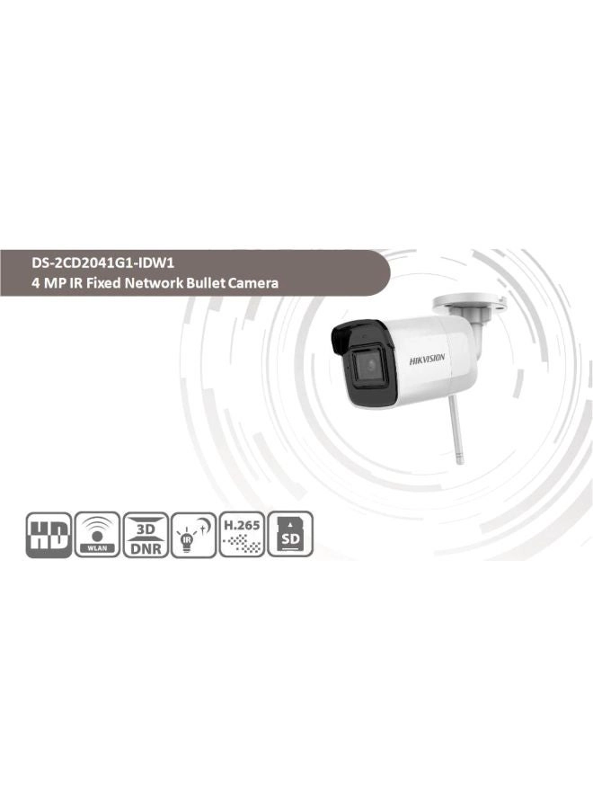 DS-2CD2041G1-IDW1