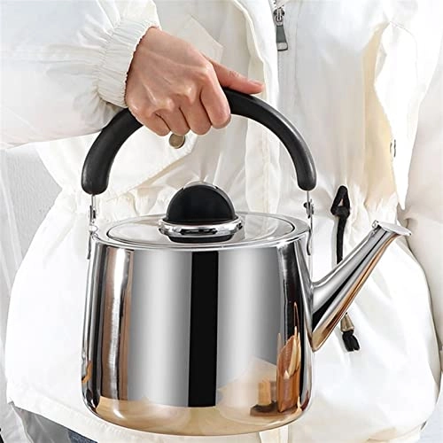Kettle - Stainless Steel Auburn