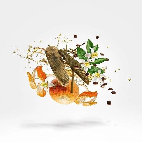 Uden Eau de Parfum - 50ml