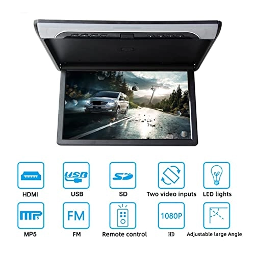 Car Ceiling Display - 19 Inch