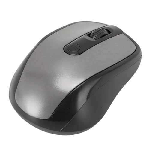 2.4G Ergonomic Mouse - Wireless