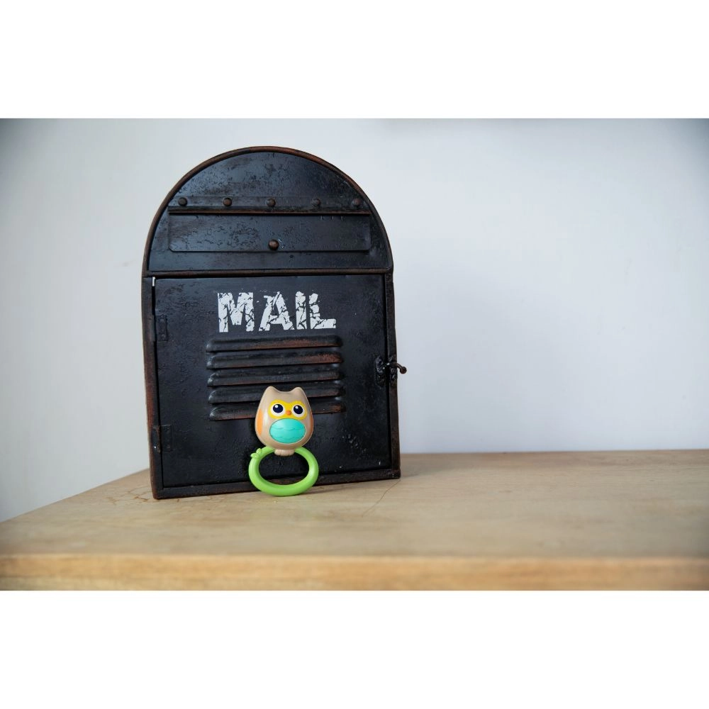 Baby Rattle & Teether