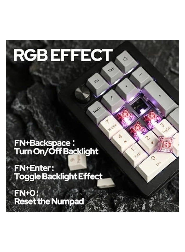 EK21 - Wisteria Linear Switch