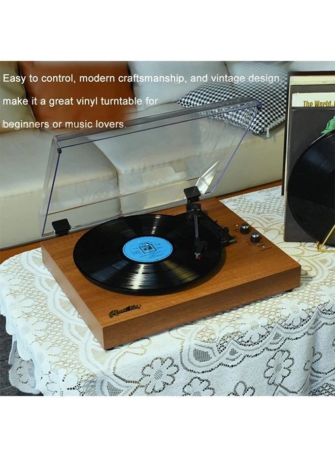 Vinyl Record Player