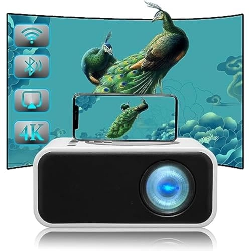Mini Projector - 320 x 240