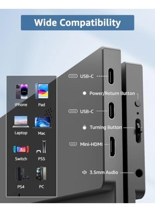 Portable Monitor - Full HD 17.3"