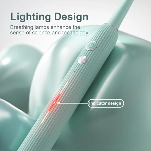 Electric Toothbrush Set - UV Light Drying Holder 8 Brush Heads USB Rechargeable