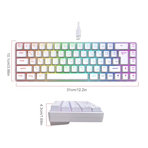 68 Key RGB Mechanical Gaming Keyboard - Wired/Wireless