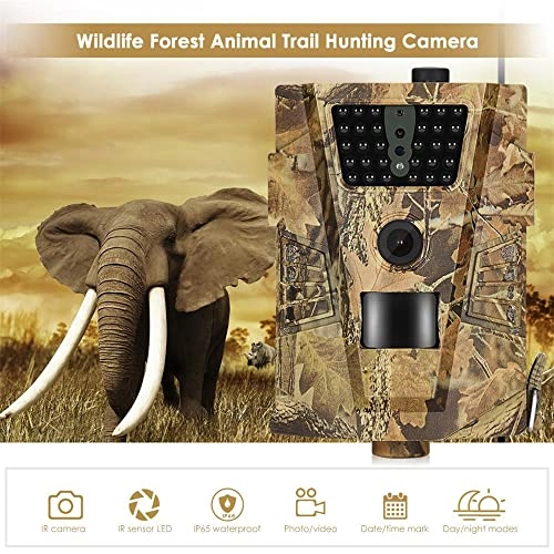 Trail Camera - 12 megapixel