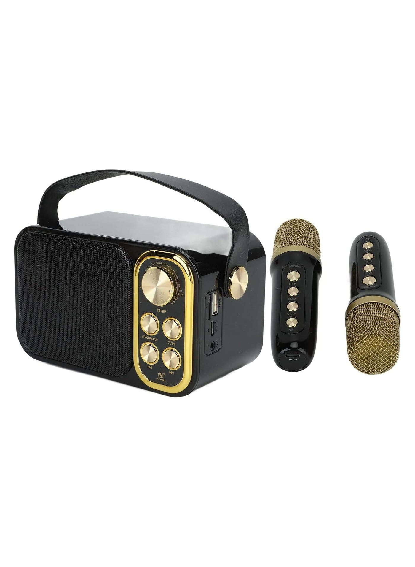 Outdoor Party Vocal Machine - 2 microphones