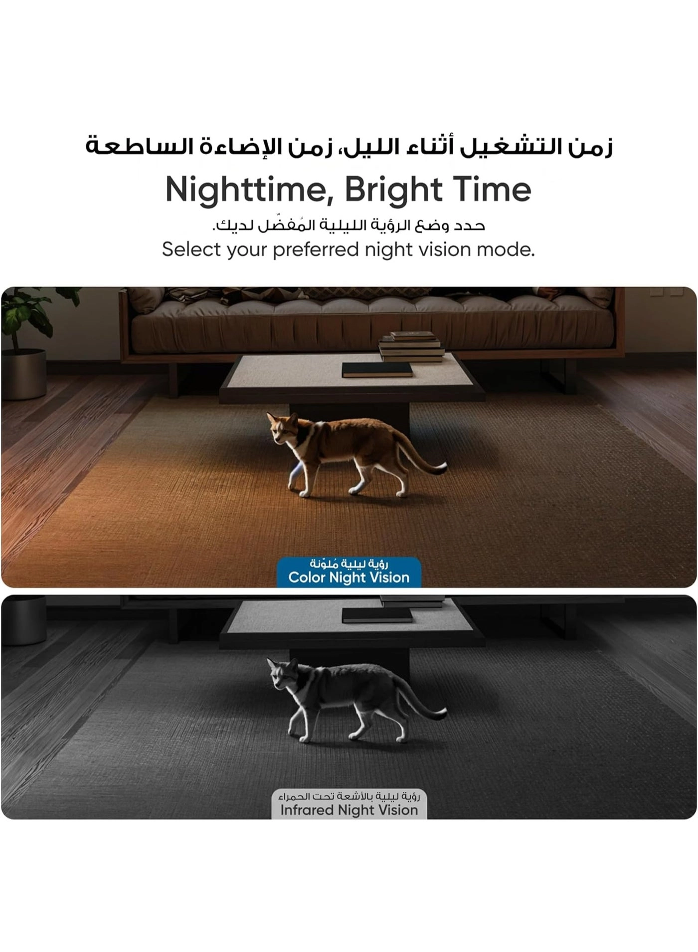 Indoor Cam S350