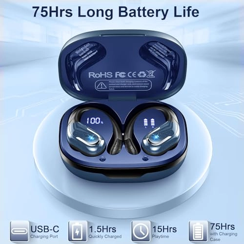 BX27 Wireless Earbud