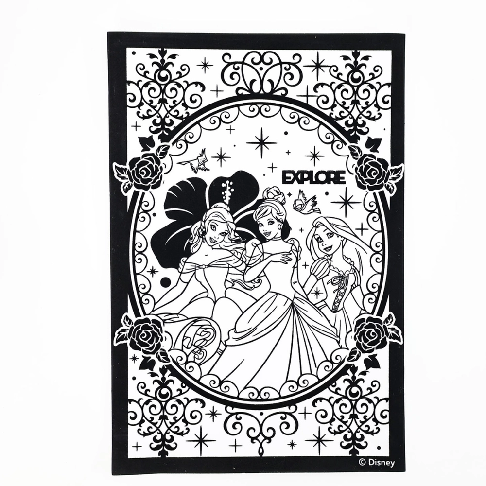 Princess Play Pack Grab & Go Kit - 24-page coloring book 8 crayons resealable pouch Ages 3+