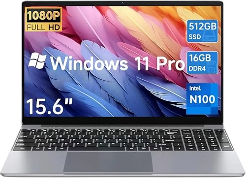 D1520 - 15.6'' N100 16GB DDR4 512GB SSD
