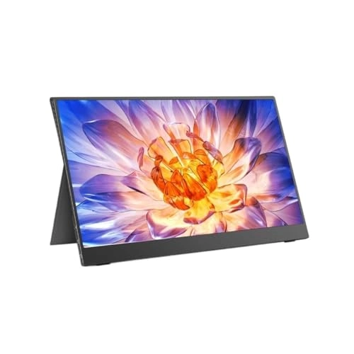 Portable Monitor - 1WLBPJ9KHMTZ 15.6 Inch 1920 * 1080