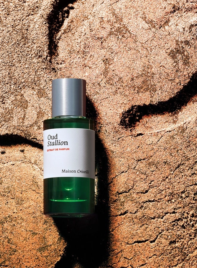Oud Stallion Eau de Parfum 50 ml