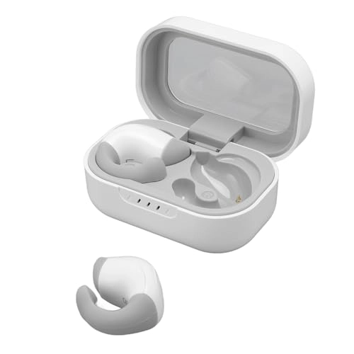Translation Earphones