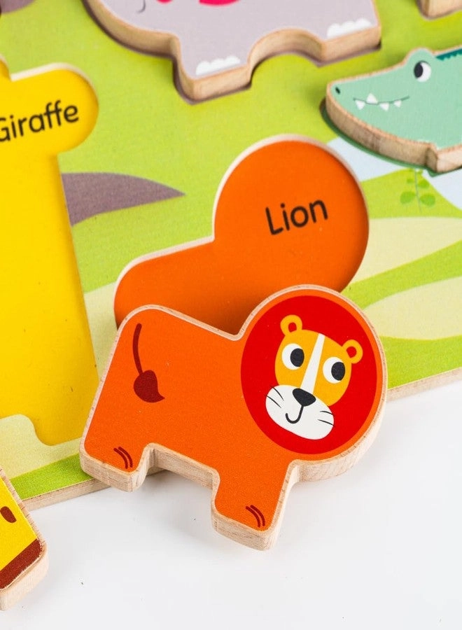 Animal & Vehicle Shape Matching Puzzle - 2+