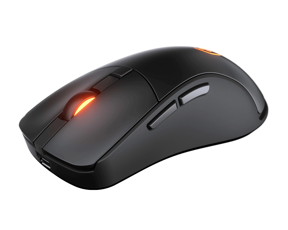 Surpassion RX - Wireless