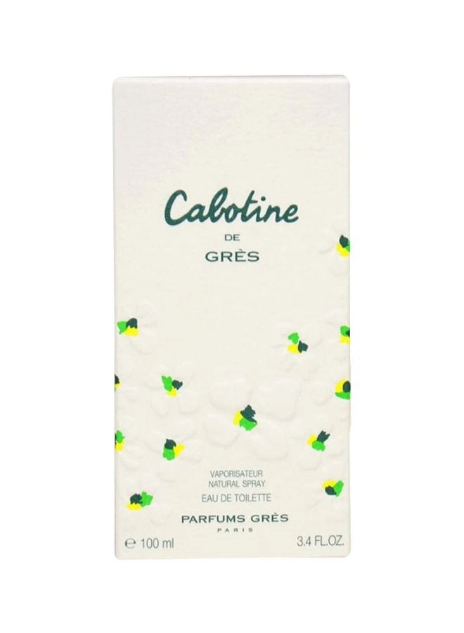 Perfume For Women Eau de Toilette 100ml