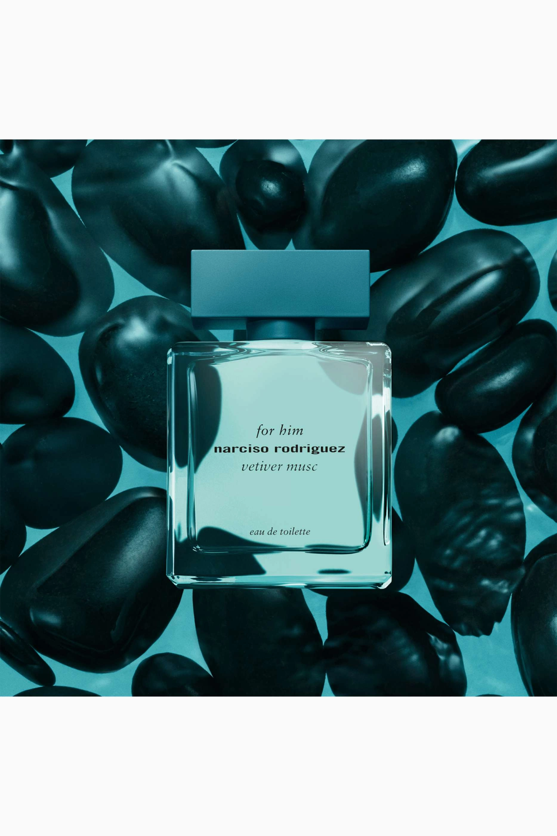 Vetiver Musc Eau de Toilette 100 ml