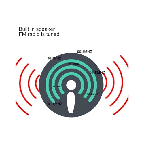 Car Overhead Display Screen - 11.6 inch