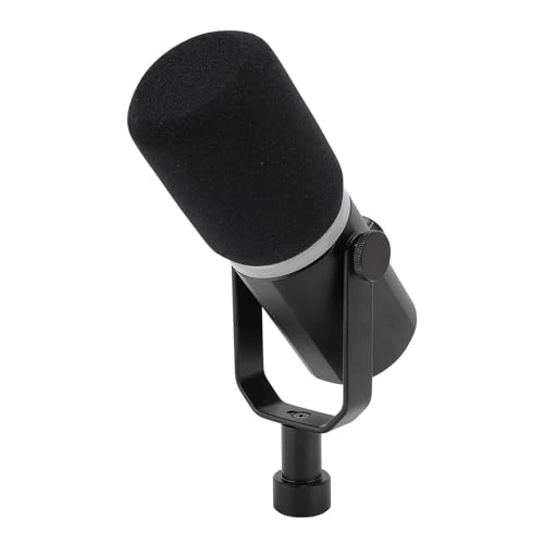 PM1 USB+Wireless Microphone