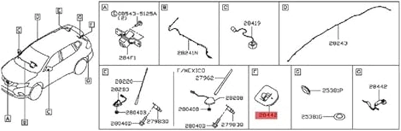 Rear View Camera - Night vision