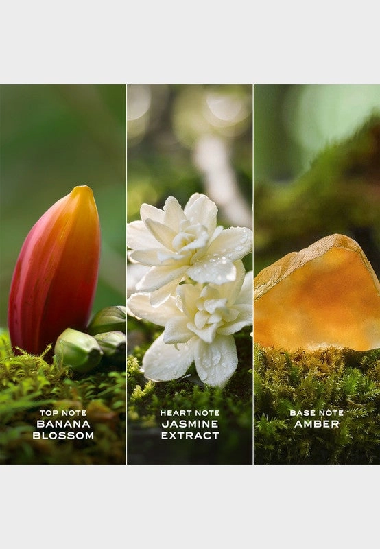 Daisy Wild Eau So Intense Eau de Parfum - 50ml