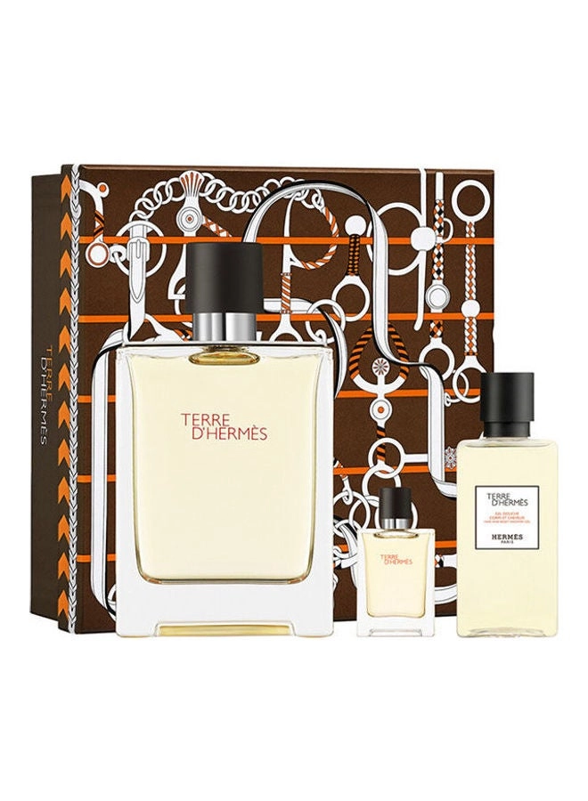 Hermes Terre D'Set Eau de Toilette 100 ml