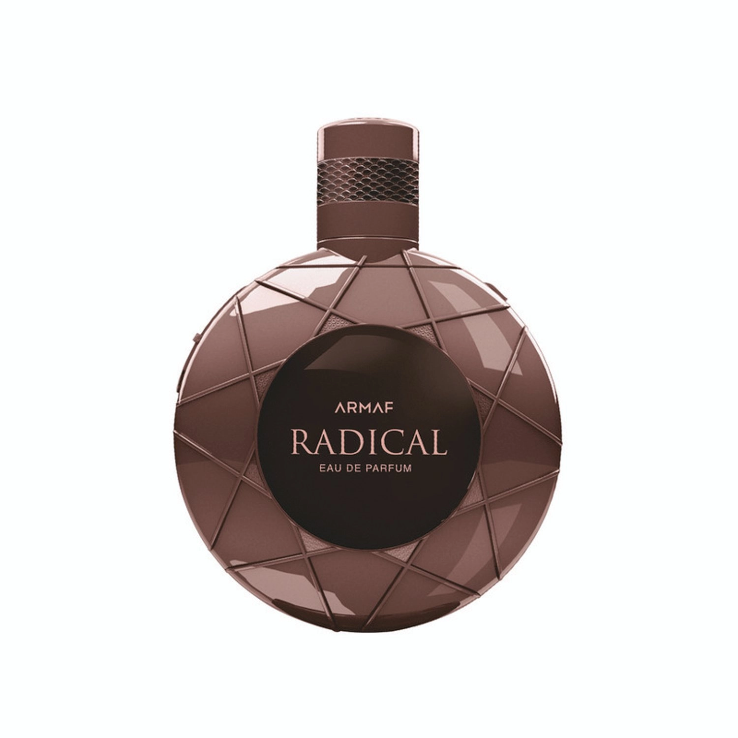 Sterling Perfumes Radical Pour Homme Eau de Parfum 100ml