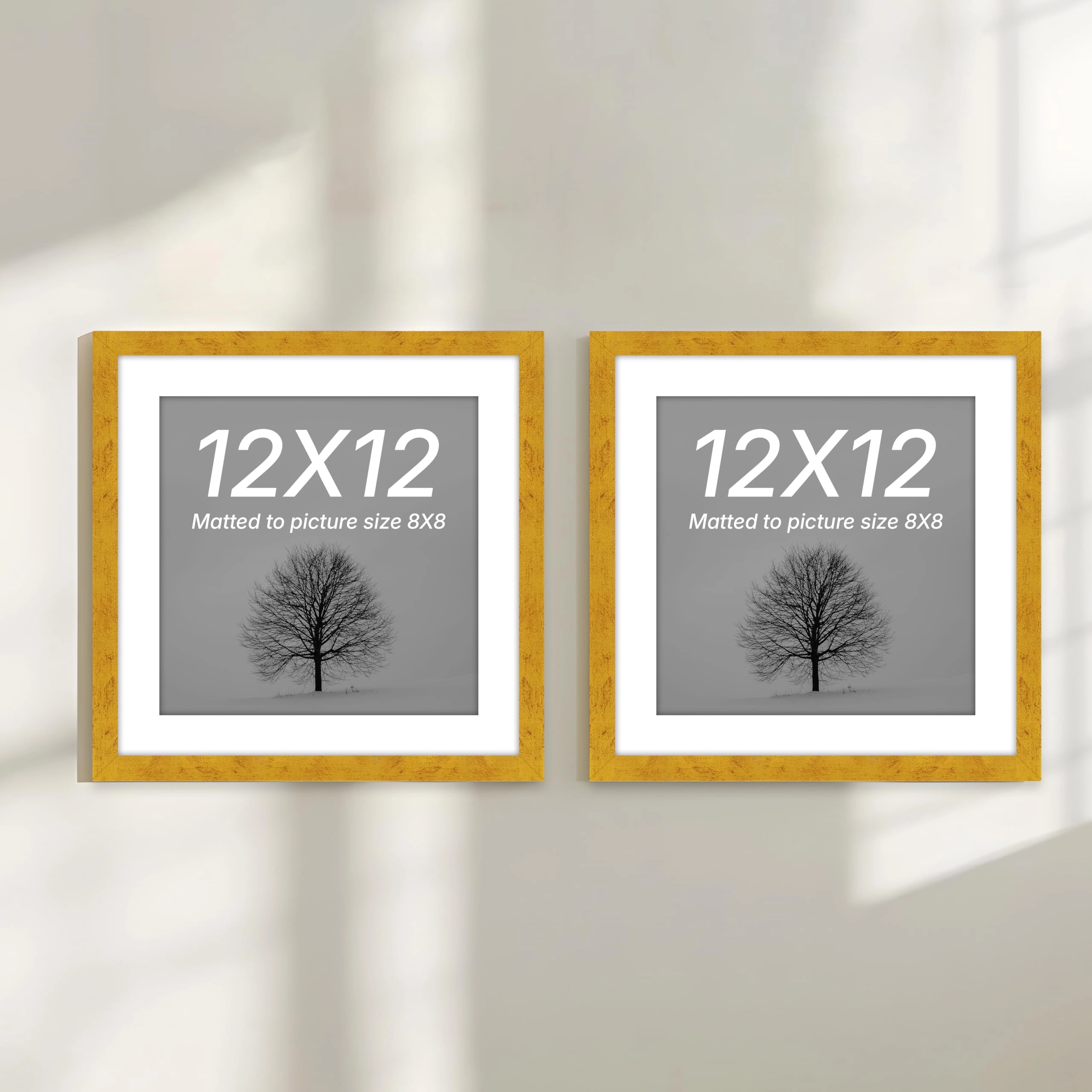 Document Frame