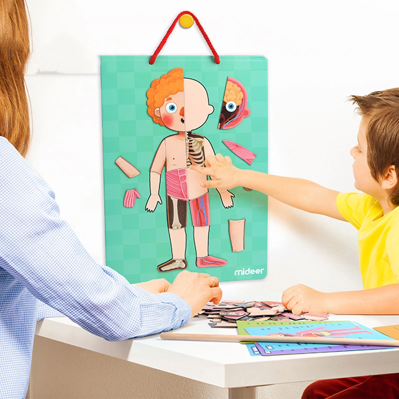 Body Magnetic Puzzle (TOP-CT7013) - 90 pcs