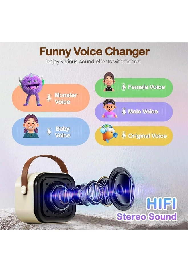 Portable Karaoke Machine - 2 wireless microphones