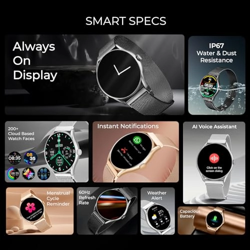 Vega Stainless Steel