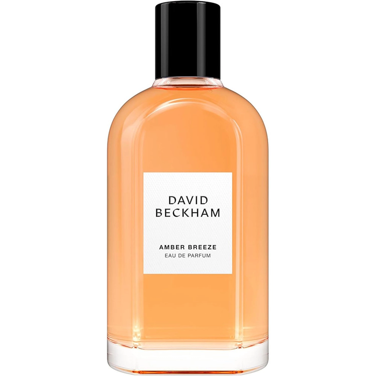 Amber Breeze - Eau de Parfum 100 ml