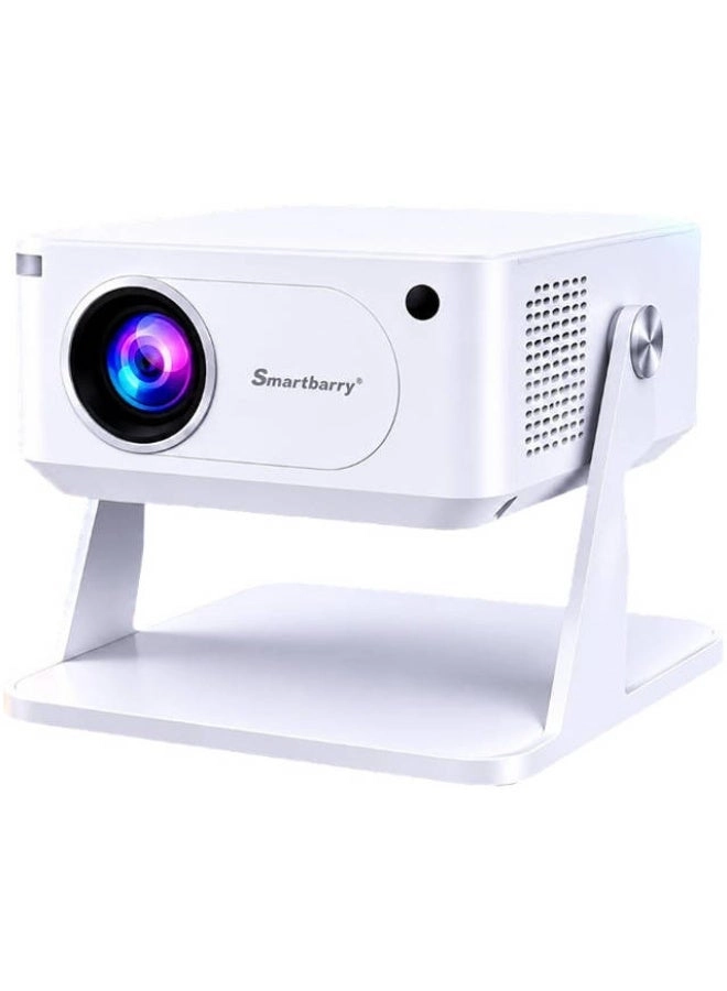 Smartbarry HT29 - 3840 Pixels