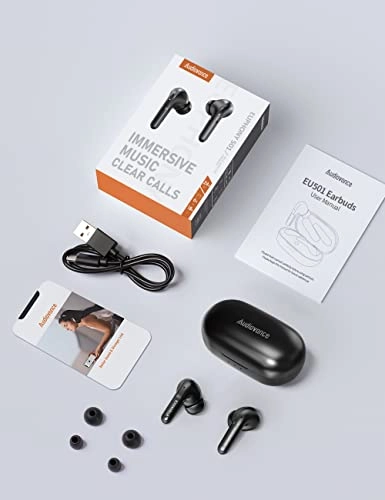 Euphony 501 Wireless Earbud
