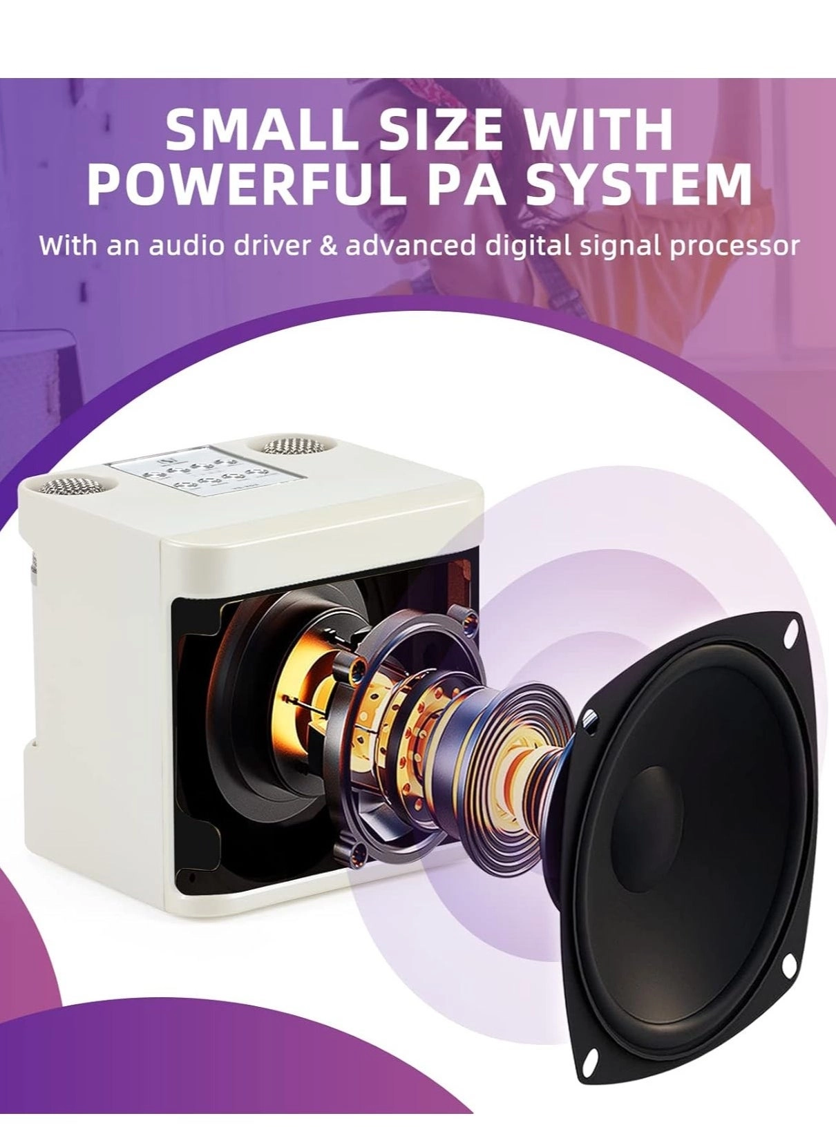 YS-203 - 2 wireless microphones