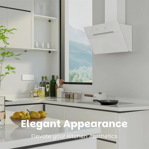 Inclined Extractor Hood - 684 m³/h 60 cm