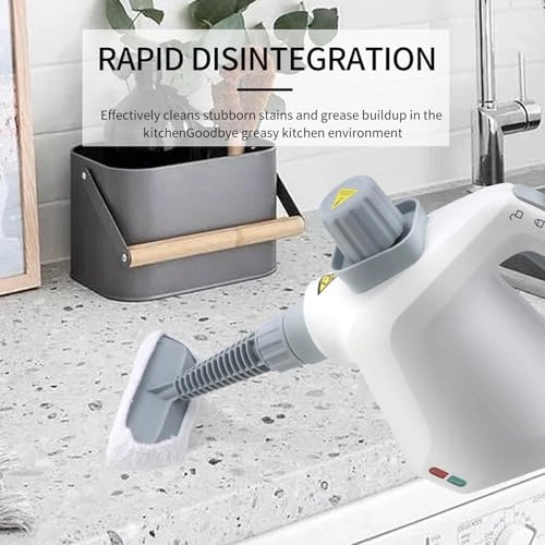 Steam Cleaner - 250 Milliliters