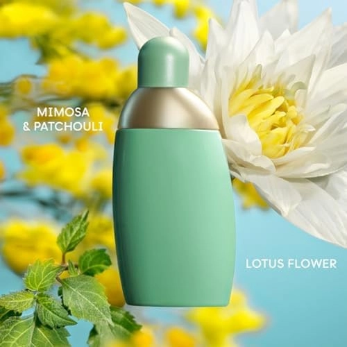 EDEN Eau de Parfum 50ml