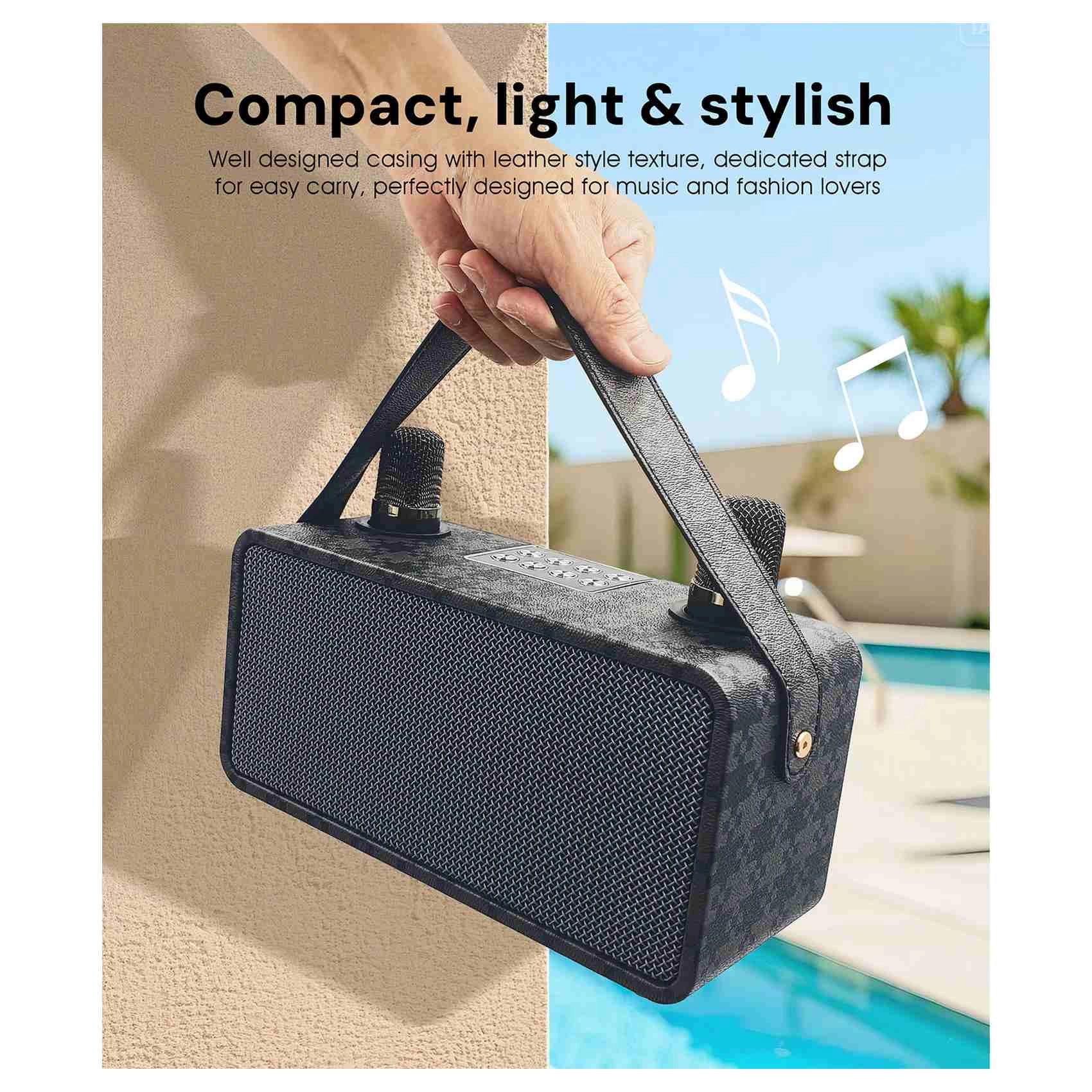 PulZ Mini Karaoke System - 2 Microphones