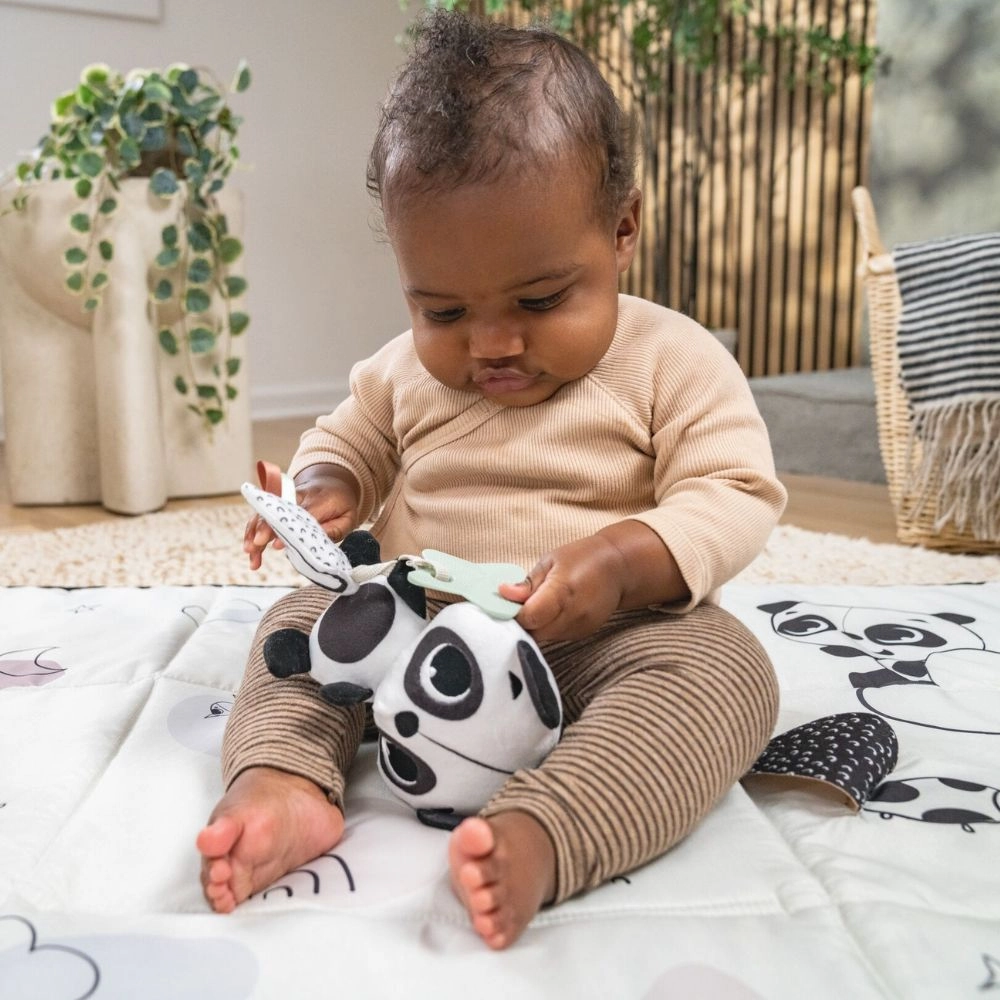 Elizabeth the Panda - Suitable for 0 month & above