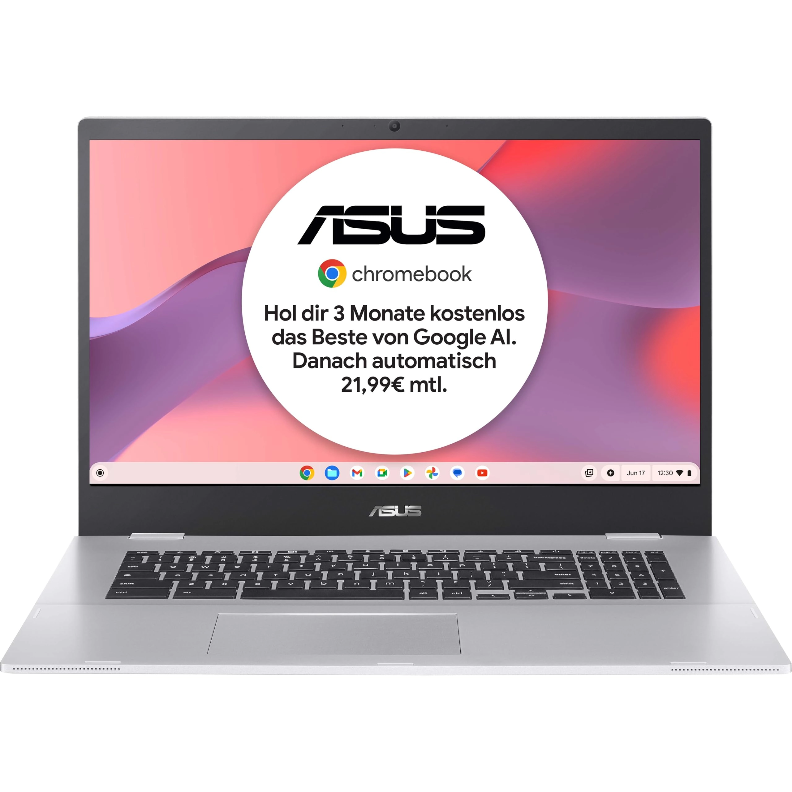 ASUS Chromebook CX17 CX1700CKA - 17.3'' Celeron N4020 4GB DDR4 64GB SSD