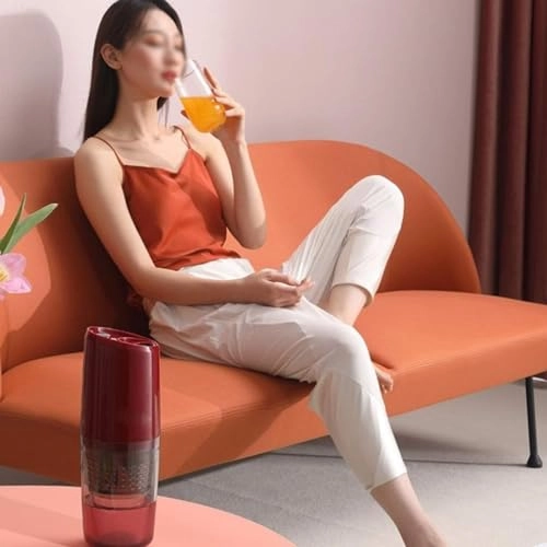 Household Juicer - 300W 600ML+300ML