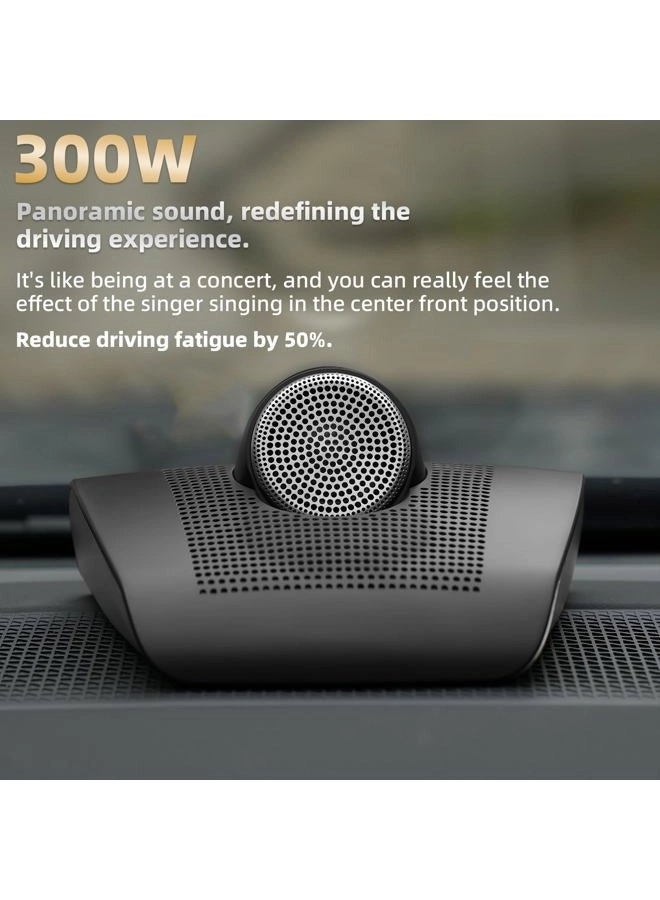 ZZ-6501B - 300W 4 ohm