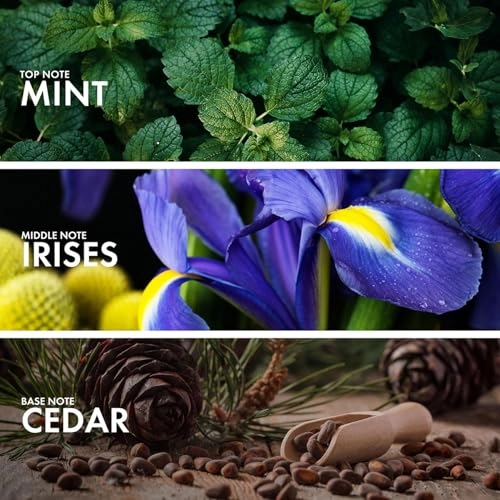 Orchid Lavender - Eau de Parfum 50 ml